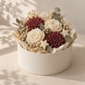 Wachsblumen – Weihnachten